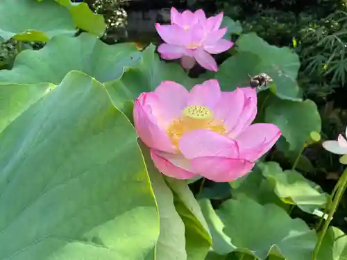 伊勢の国 四天王寺の自然