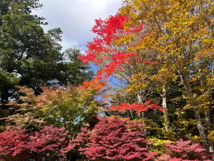 赤城神社(群馬県)