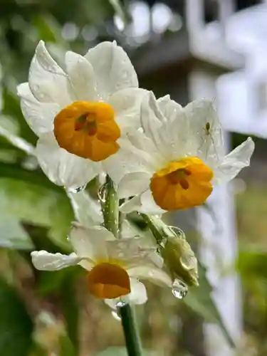 堤治神社の自然