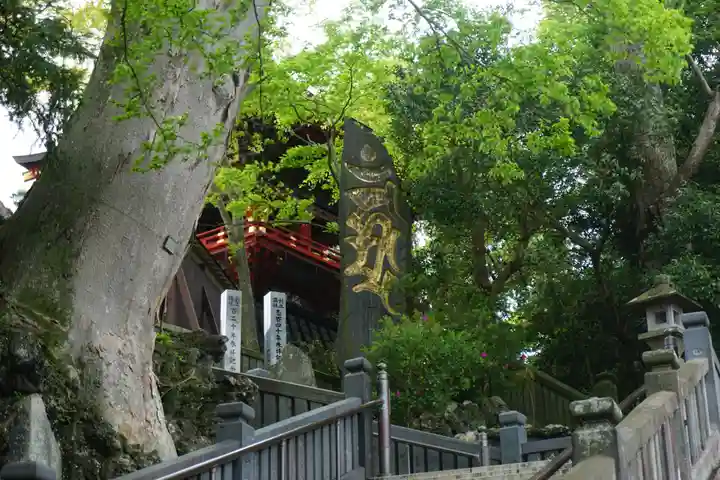 成田山新勝寺の自然