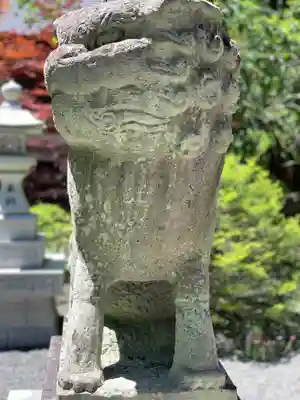 山中浅間神社の狛犬