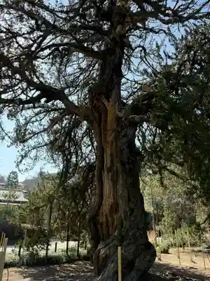 建長寺(神奈川県)