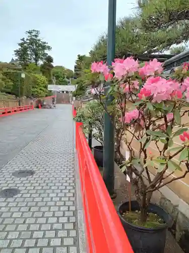 中山寺(兵庫県)