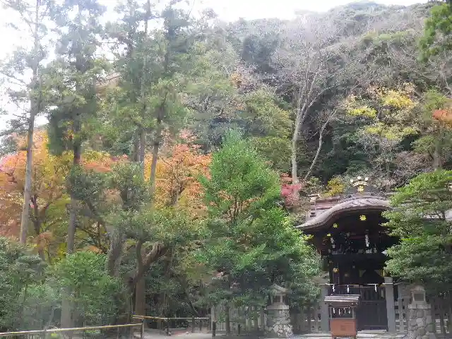 鶴岡八幡宮の自然