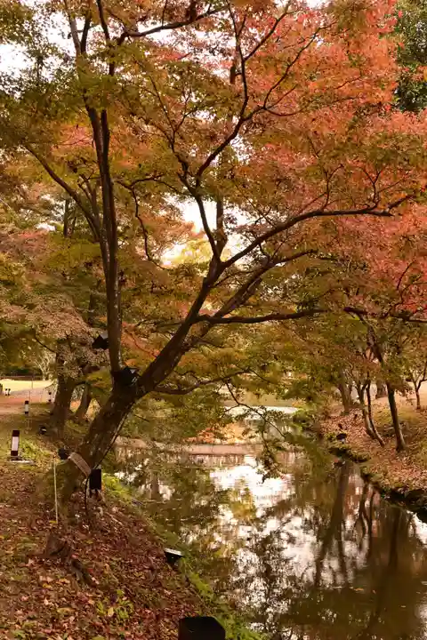 大覚寺(京都府)