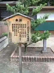 神明社（桜神明社）の自然