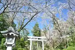 彌彦神社(新潟県)