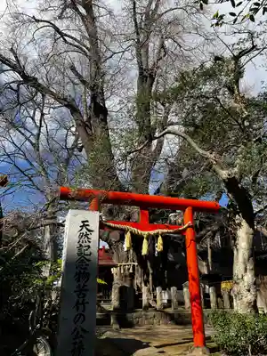 宮城野八幡神社(宮城県)