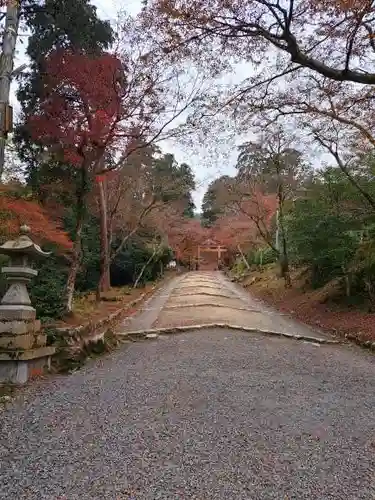 日吉大社(滋賀県)