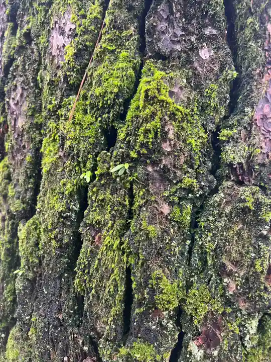 三輪神社(岐阜県)