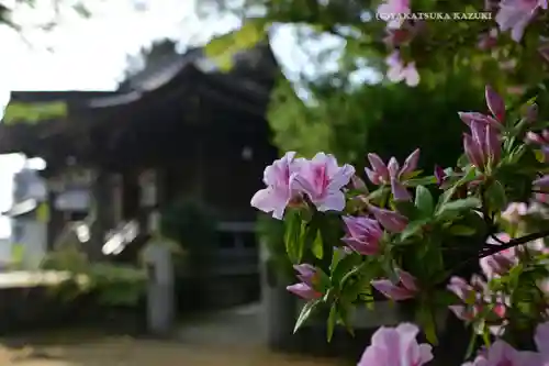 八幡橋八幡神社(神奈川県)
