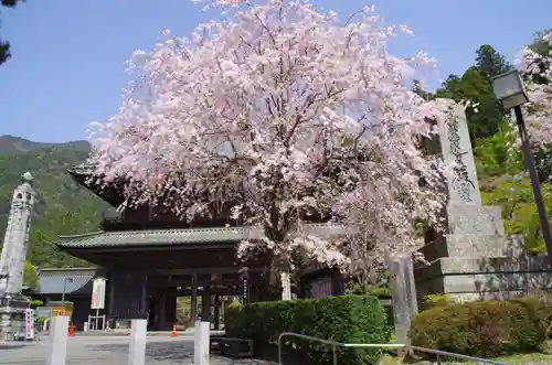 久遠寺の山門