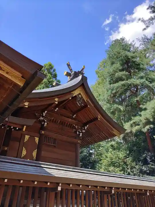 進雄神社(群馬県)