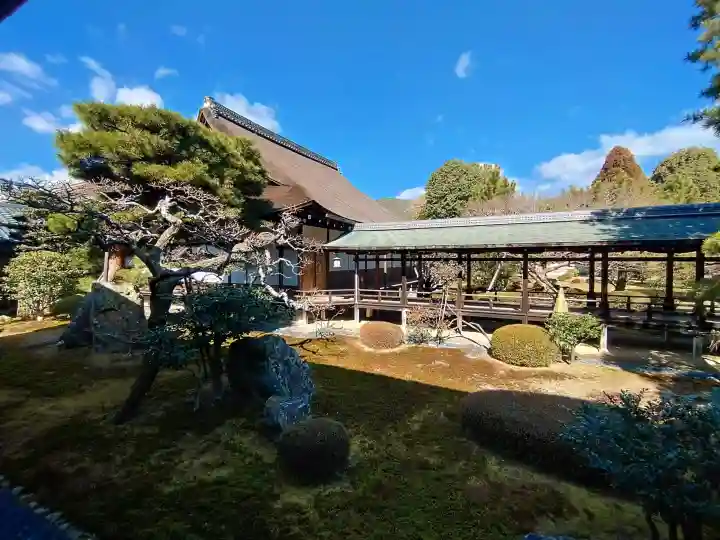 大覚寺の{uncategorized: "未分類", other: "その他", undefined: "問題あり", building: "その他建物", grave: "お墓", sacred_gate: "鳥居", guardian: "狛犬", statue: "像", buddha: "仏像", history: "歴史", nature: "自然", garden: "庭園", animal: "動物", pagoda: "塔", temizu: "手水舎", mountain_gate: "山門・神門", sanctuary: "本殿・本堂", subordinate: "末社・摂社", art: "芸術", scenery: "景色", jizo: "地蔵", ema: "絵馬", goshuin: "御朱印", omikuji: "おみくじ", items: "授与品その他", amulet: "お守り", goshuincho: "御朱印帳", eats: "食事", festival: "お祭り", votive_dance: "神楽", shichigosan: "七五三参", wedding: "結婚式", experience: "体験その他", initially: "初詣", around: "周辺", anti_infection: "感染症対策"}