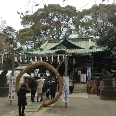 代々木八幡宮の本殿・本堂