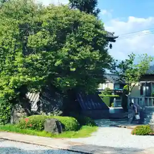 法源寺のその他建物(2021年05月29日(土) 09時30分30秒投稿)