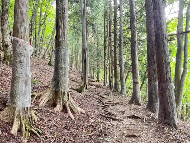 三峯神社(埼玉県)