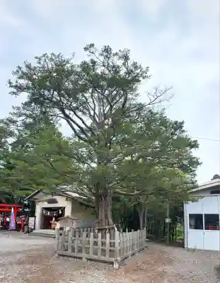 湯倉神社(北海道)