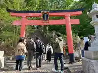 高山稲荷神社の鳥居
