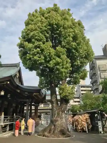 湯島天満宮のその他建物