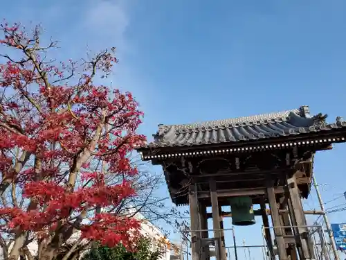 千用寺のその他建物