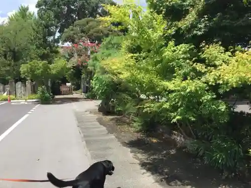 東竹院のその他建物