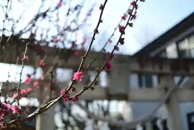 女塚神社の自然