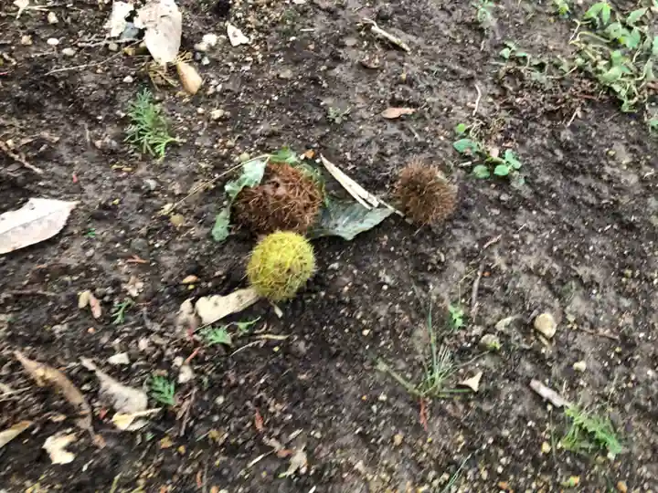 菅田神社(兵庫県)