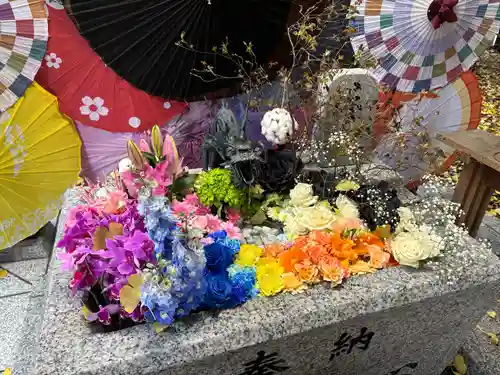 札幌諏訪神社の手水舎