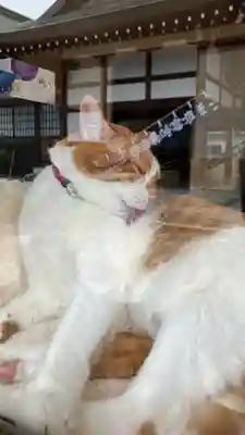 伊勢神社(岡山県)