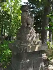 西野神社の狛犬