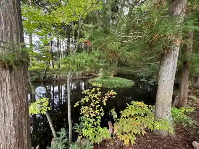 矢彦神社(長野県)