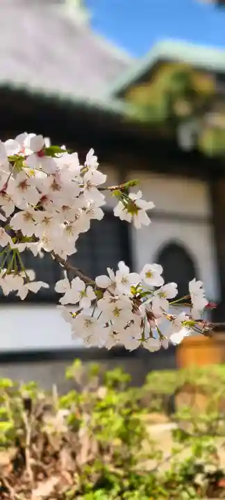 法華経寺(千葉県)