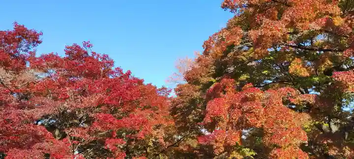 東福禅寺(東福寺)(京都府)