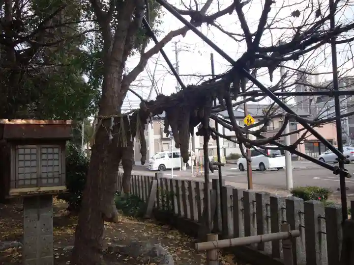 多奈波太神社の自然