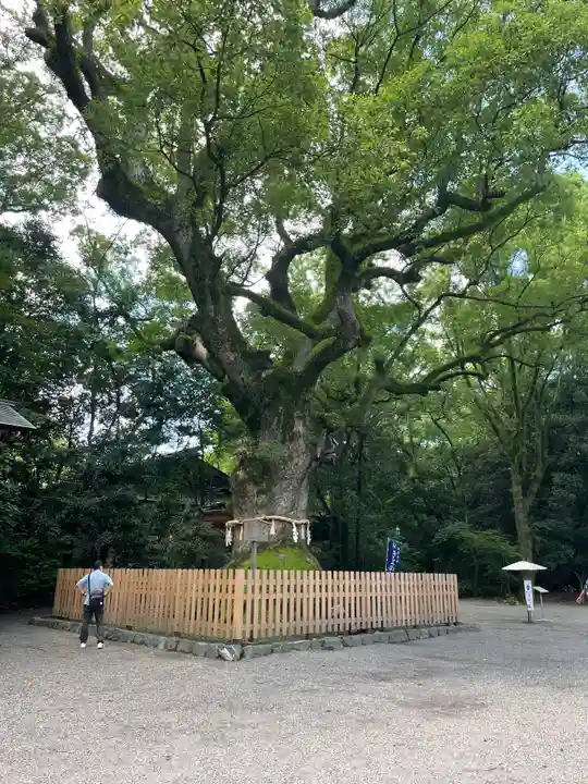 熱田神宮の自然