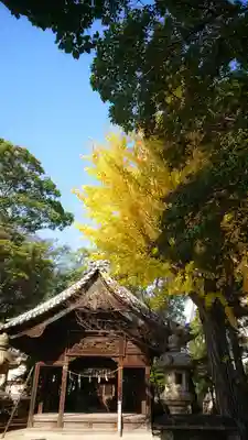 十二所社の本殿・本堂