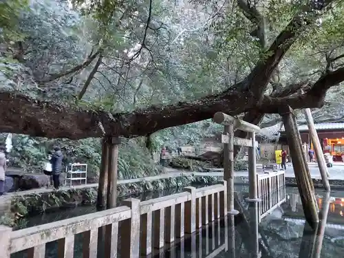 鹿島神宮(茨城県)