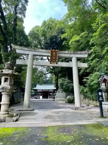 諸羽神社の鳥居