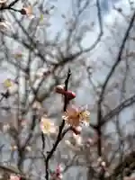 二兒神社(福岡県)