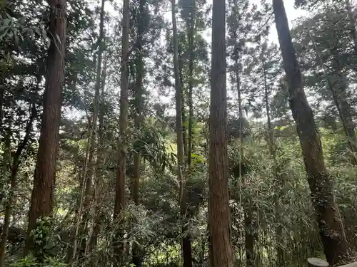 猿田神社(千葉県)