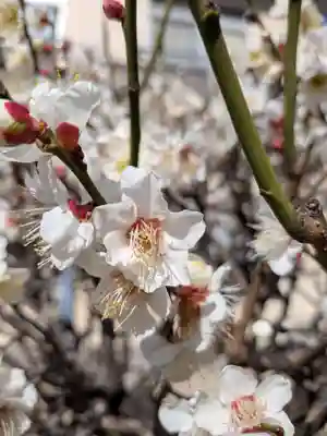福王山  慈眼寺(東京都)