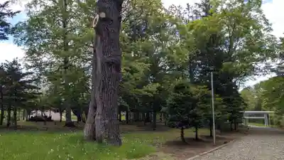 女満別神社の自然