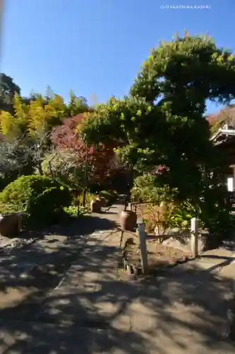 英勝寺(神奈川県)