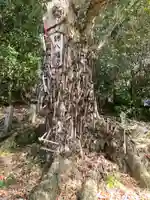 鎌八幡宮の自然