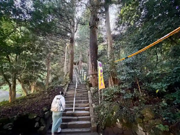 金持神社の{uncategorized: "未分類", other: "その他", undefined: "問題あり", building: "その他建物", grave: "お墓", sacred_gate: "鳥居", guardian: "狛犬", statue: "像", buddha: "仏像", history: "歴史", nature: "自然", garden: "庭園", animal: "動物", pagoda: "塔", temizu: "手水舎", mountain_gate: "山門・神門", sanctuary: "本殿・本堂", subordinate: "末社・摂社", art: "芸術", scenery: "景色", jizo: "地蔵", ema: "絵馬", goshuin: "御朱印", omikuji: "おみくじ", items: "授与品その他", amulet: "お守り", goshuincho: "御朱印帳", eats: "食事", festival: "お祭り", votive_dance: "神楽", shichigosan: "七五三参", wedding: "結婚式", experience: "体験その他", initially: "初詣", around: "周辺", anti_infection: "感染症対策"}