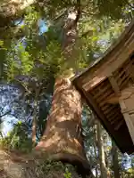 日枝神社の自然