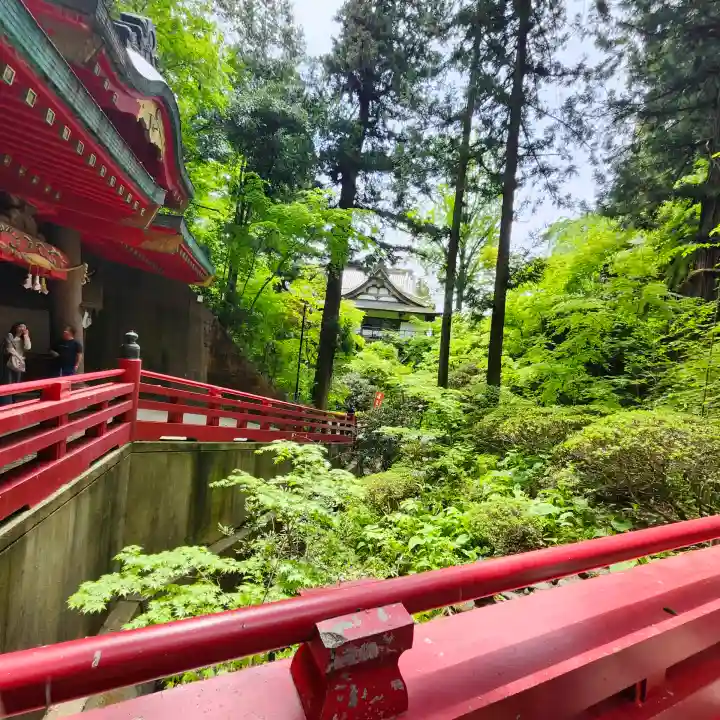 大正寺(中野不動尊)の{uncategorized: "未分類", other: "その他", undefined: "問題あり", building: "その他建物", grave: "お墓", sacred_gate: "鳥居", guardian: "狛犬", statue: "像", buddha: "仏像", history: "歴史", nature: "自然", garden: "庭園", animal: "動物", pagoda: "塔", temizu: "手水舎", mountain_gate: "山門・神門", sanctuary: "本殿・本堂", subordinate: "末社・摂社", art: "芸術", scenery: "景色", jizo: "地蔵", ema: "絵馬", goshuin: "御朱印", omikuji: "おみくじ", items: "授与品その他", amulet: "お守り", goshuincho: "御朱印帳", eats: "食事", festival: "お祭り", votive_dance: "神楽", shichigosan: "七五三参", wedding: "結婚式", experience: "体験その他", initially: "初詣", around: "周辺", anti_infection: "感染症対策"}