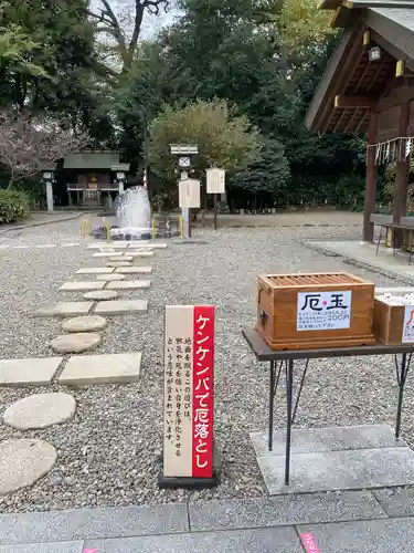櫻木神社(千葉県)