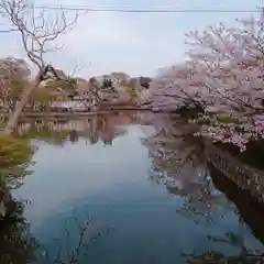 鶴岡八幡宮の自然